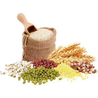 Obilniny, strukoviny a ryža