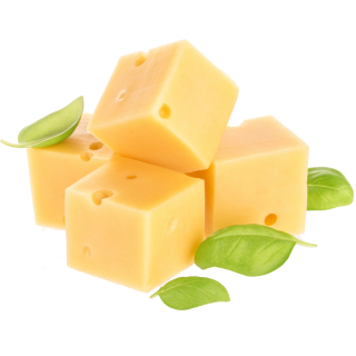 Tofu, syr a nesyr