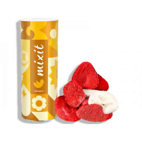 Chrumkavé mrazom sušené JAHODY a BANÁN 160g mix.it