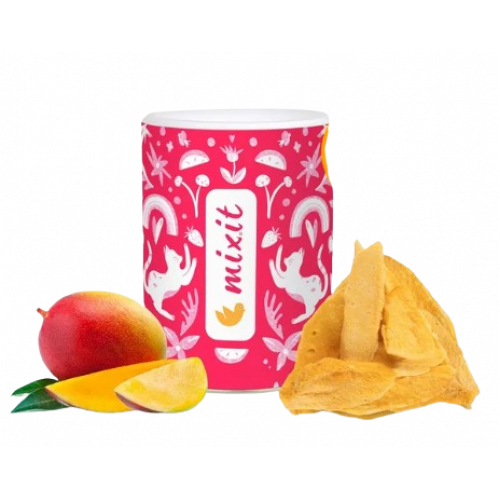 Chrumkavé ovocie MANGO 100g mix.it