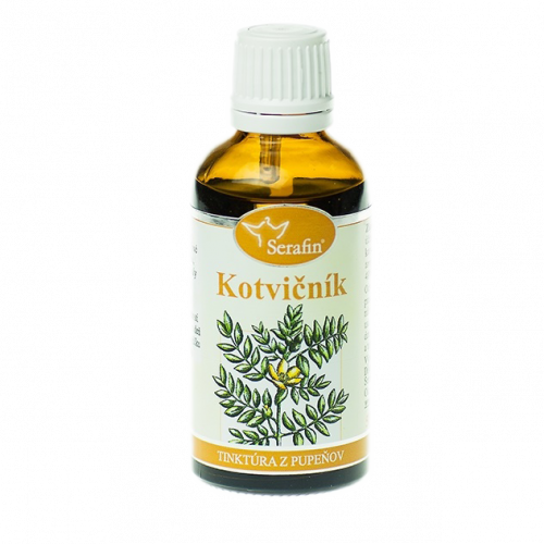 Kotvičník - tinktúra z pupeňov 50ml Serafin